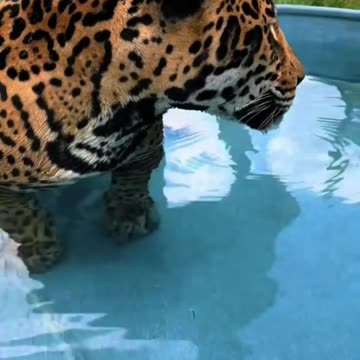 rest and refreshment at Tank’s