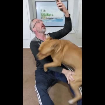 Pit Bull Owner Attacked while Investing