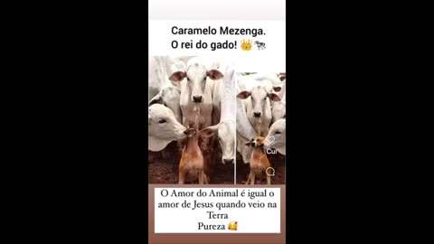 STORIES DA NADJA PESSOA 09/05/2024