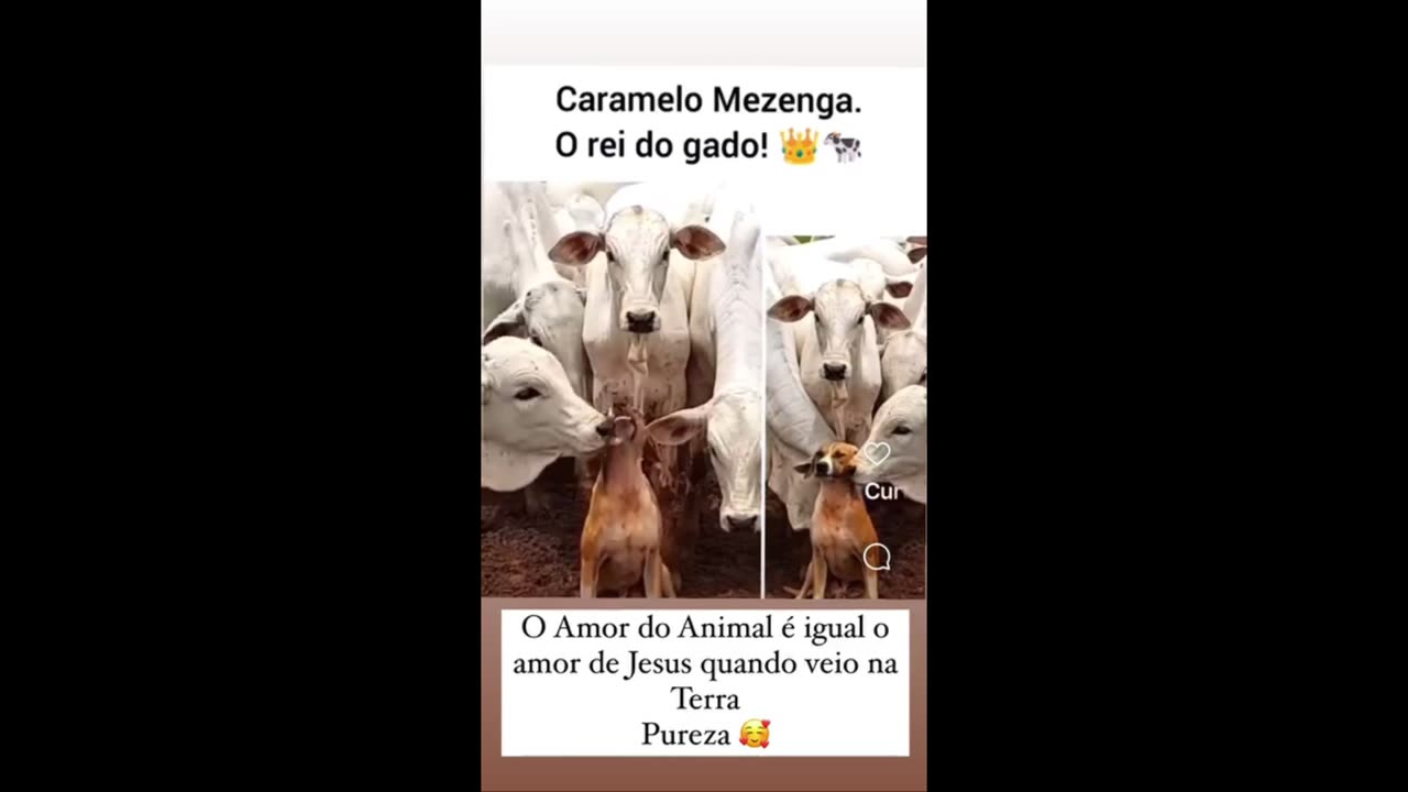 STORIES DA NADJA PESSOA 09/05/2024