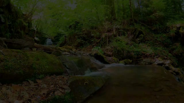 Deep Forest Waterfall with Relaxing Nature Sounds