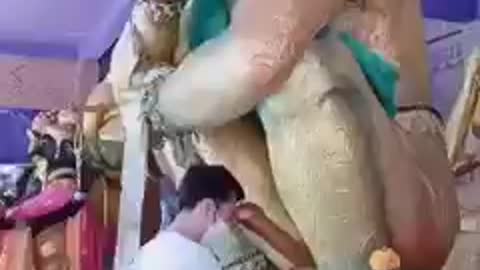 What the hell is this