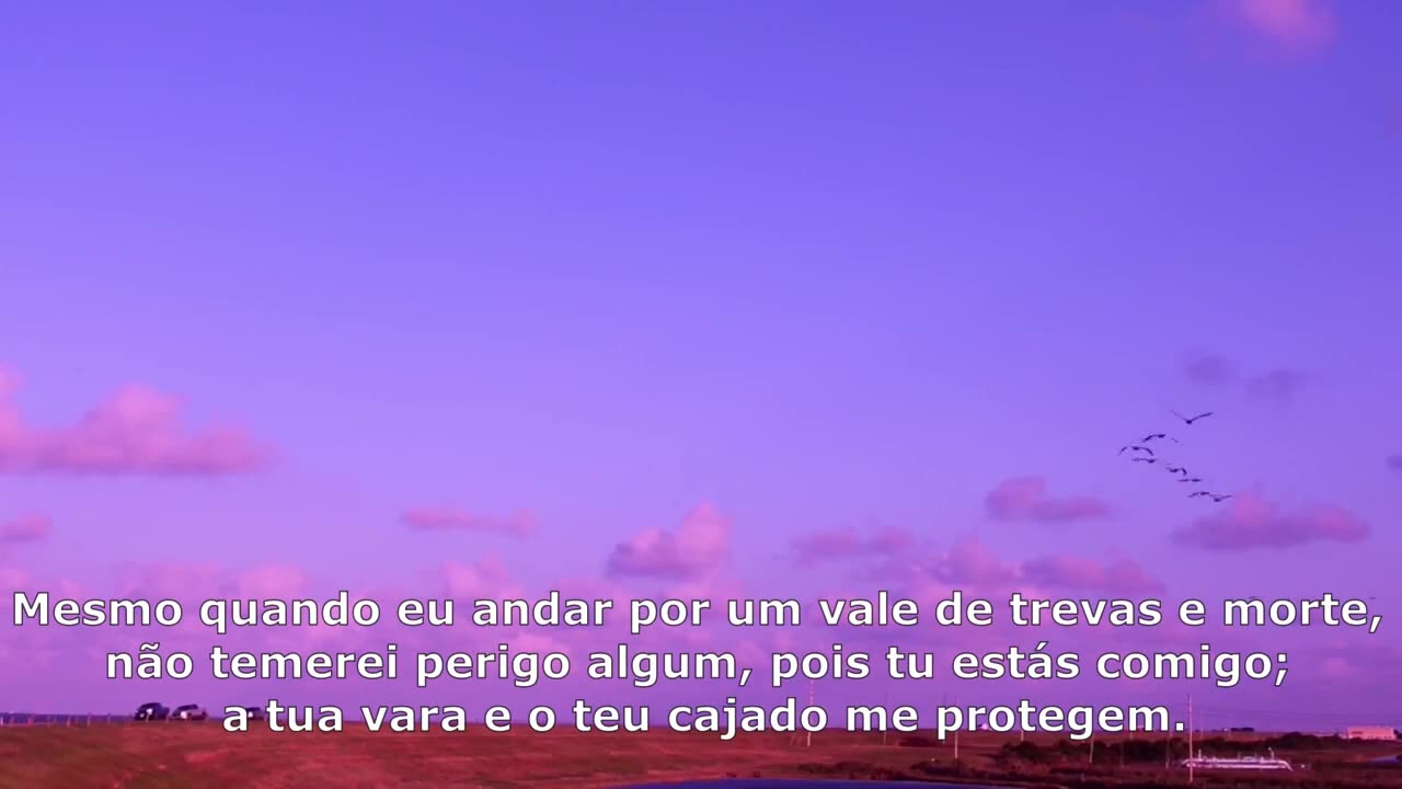 SALMOS 23