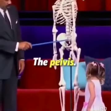 This 5-year-old just nuked every gender studies prof in the world.