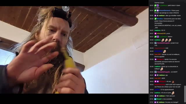 2022-11-17 (1bis.1) - Gouffre - Twitch Decheterie (version avec chat)