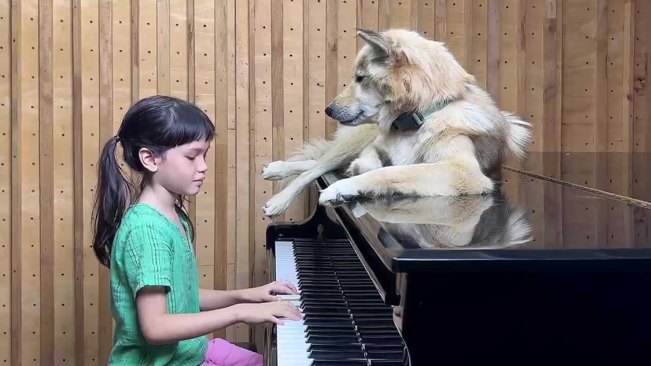Bach on Piano for Sharky the Dog