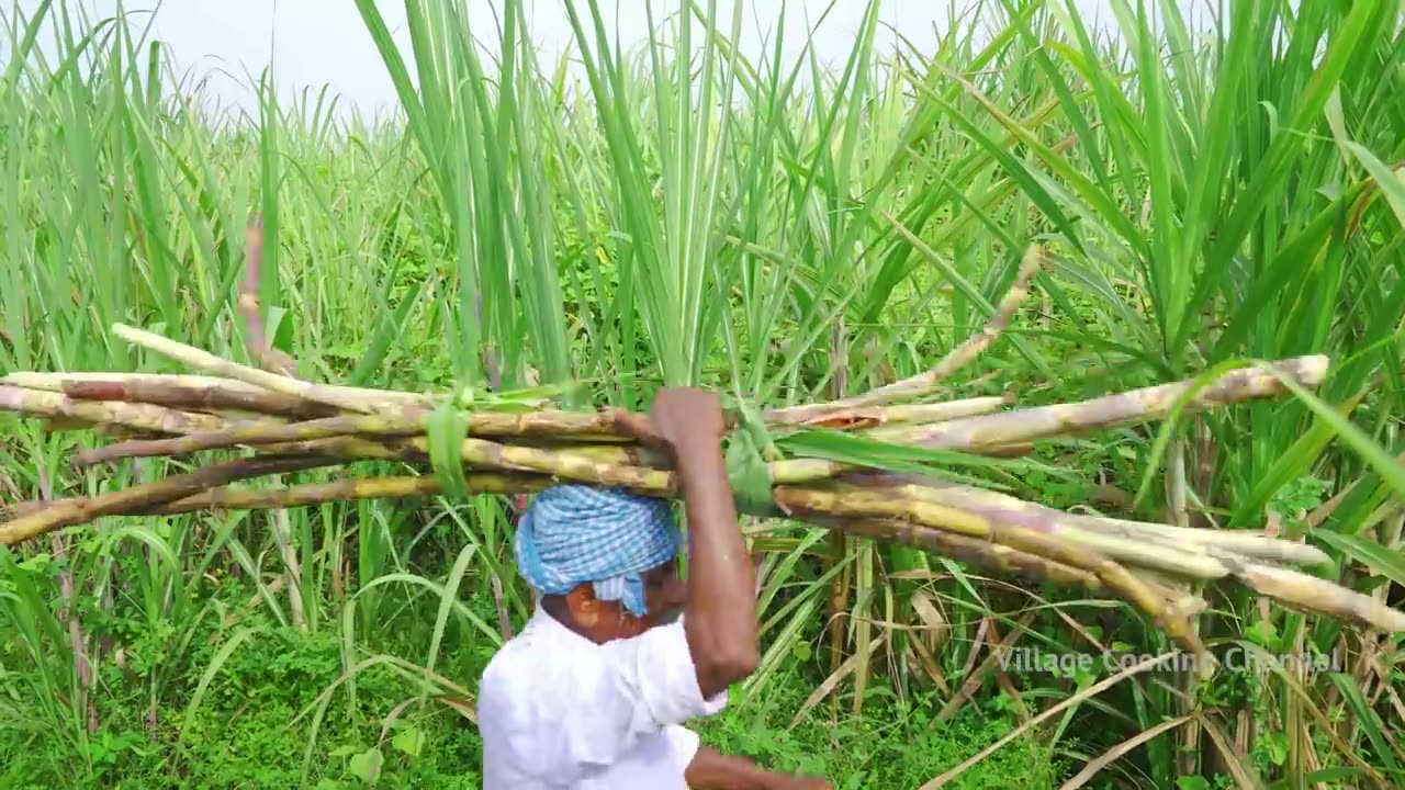 SUGARCANE JUICE _ Making Farm Fresh Healthy Juice in Village _ Natural Juice _ Summer Health Drinks