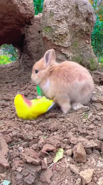 Friendship and Teamwork