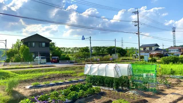 Greenery of Japan || Countryside Walk