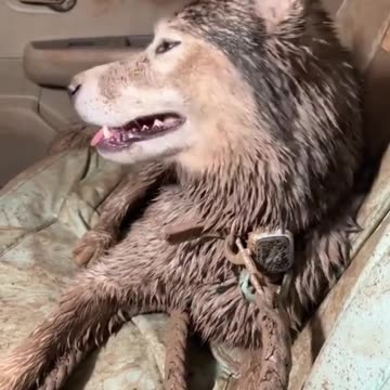 Good luck cleaning that interior 😂😂🙏