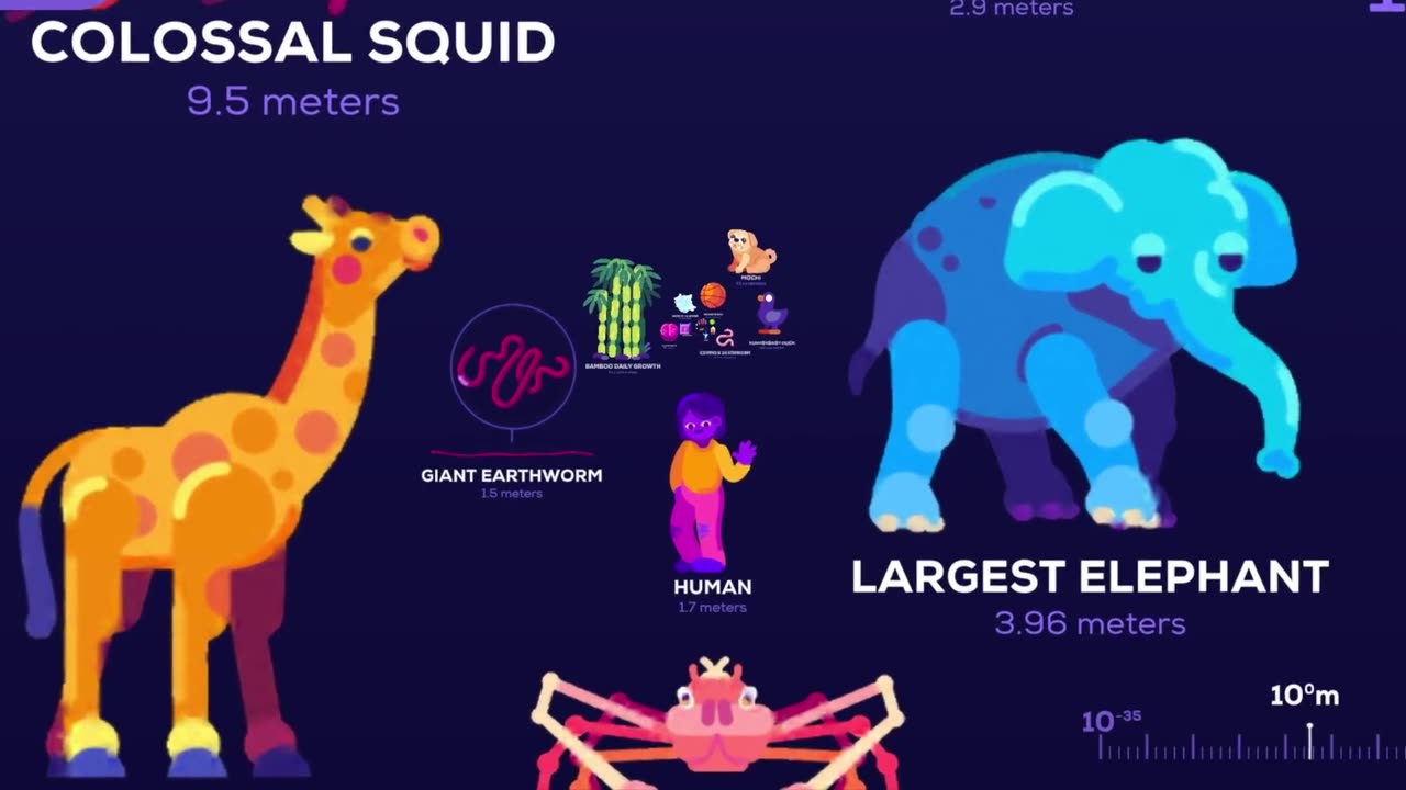 Unveiling Cosmic Magnitudes: A Unique Universe Size Comparison