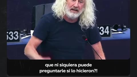 Mick Wallace: euro diputado independiente