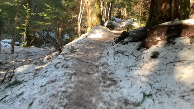 Icy Snowy Forest Hiking – Mount Hood – Oregon – 4K