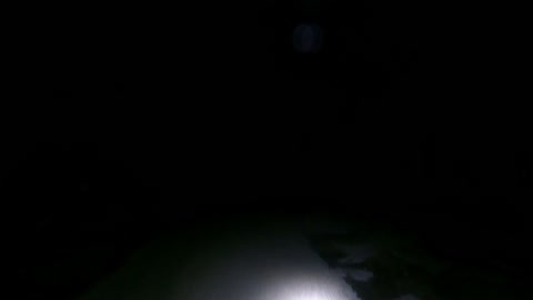 Carry cut hazel piles back to the campsite at night. GoPro on a chest rig