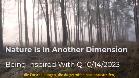 Die Natur befindet sich in einer anderen Dimension