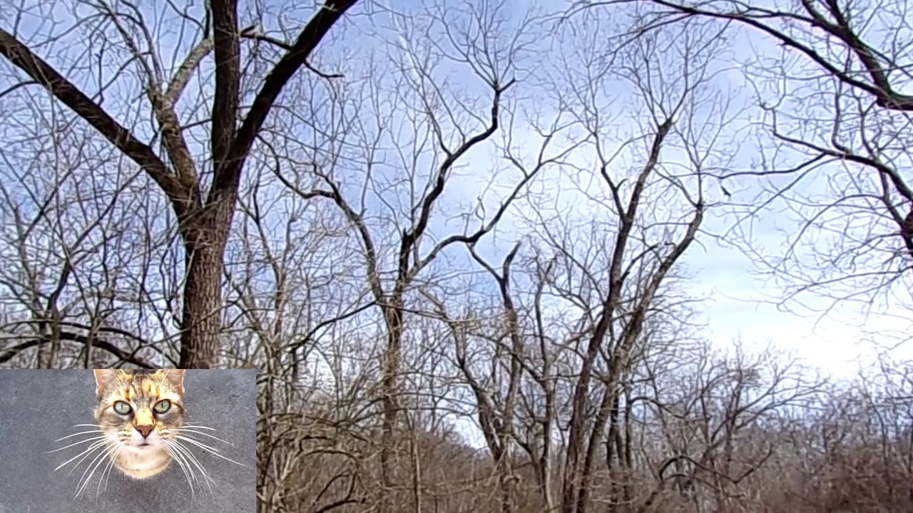 Beat Goes Bang -DRAGGIN THE LINE