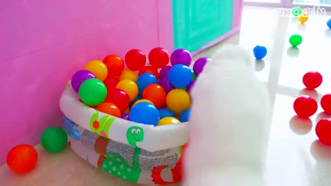 Do Cats Like Ball Pits? | Compilation