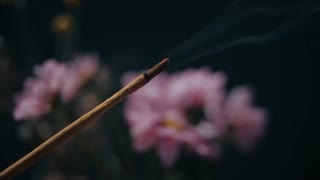 Relaxing Music | Sleeping, Meditation, Stress Relief | [5782] ⭐️