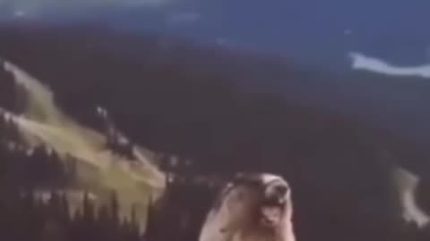 When I see