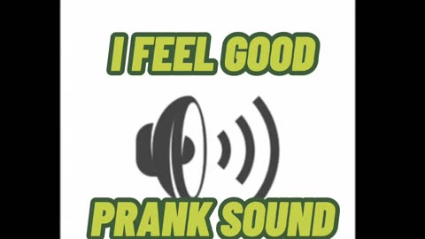 I FEEL GOOD PRANK SOUND🤣🤣SO GOOD!