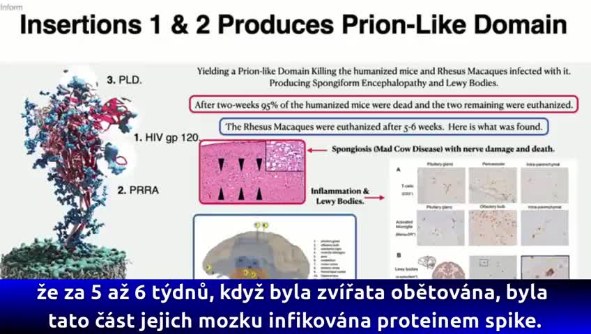 DR RICHARD FLEMING SHOWS THE HIV INSERTS TO THE S SPIKE PROTEIN.