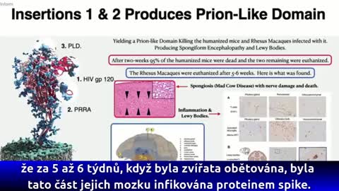 DR RICHARD FLEMING SHOWS THE HIV INSERTS TO THE S SPIKE PROTEIN.