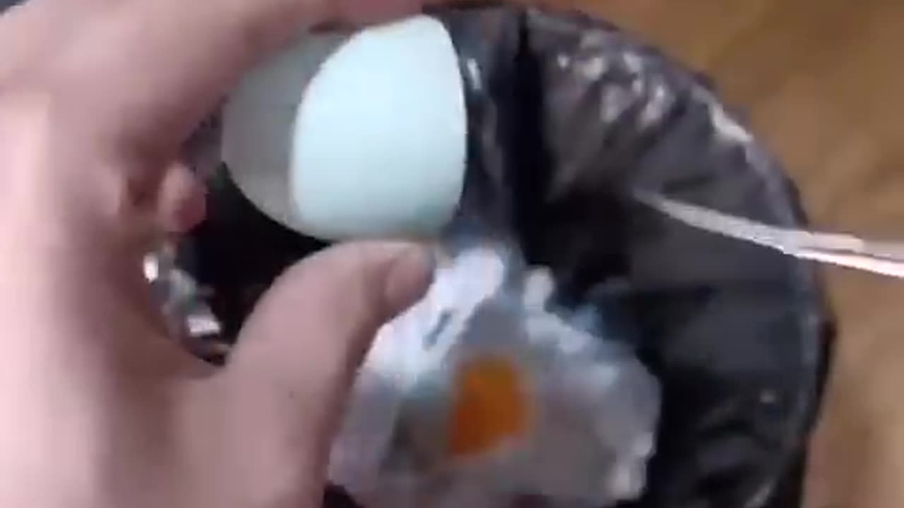 How A Chick Born From A Egg 🐣 - Interesting Video - 😱 (480p) video description