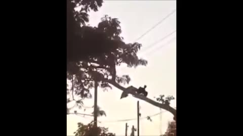 FLYING HUMANOID CAUGHT ON VIDEO TAKING OFF FROM TREE LIMB IN NICARAGUA