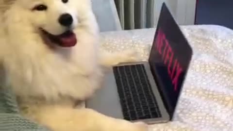 Literally me when I try to be productive