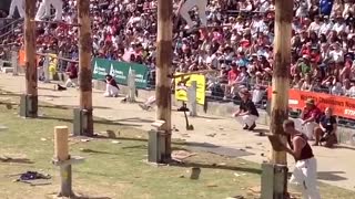 Wood cutting race championship