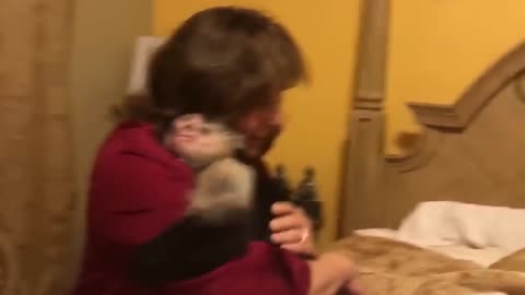 animals reunited with owners after years!