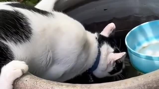 I was wondering if he was exhausted to drink like this