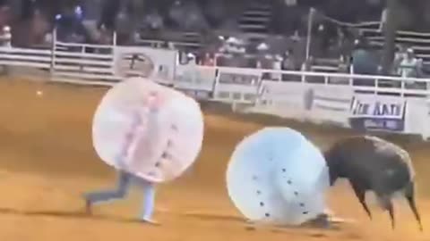 Real Or Fake? Bull Sends Bubbletard Out of Stadium