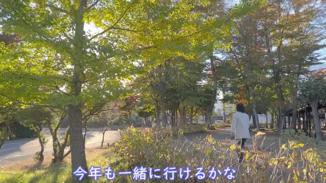 好きな子への距離の詰め方えぐい柴犬