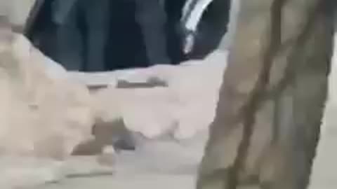 Cops should be jailed for this