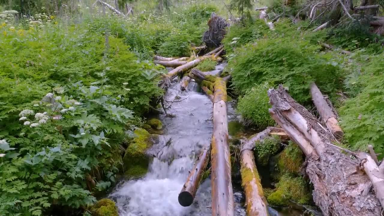 Mount Rainier National Park - Nature Relax Video, Summer Scenery