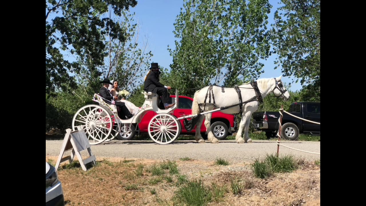 White and Red Carriage