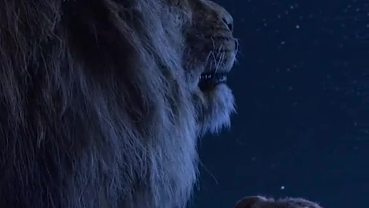 Zimba The Lion King Movie Scenes.