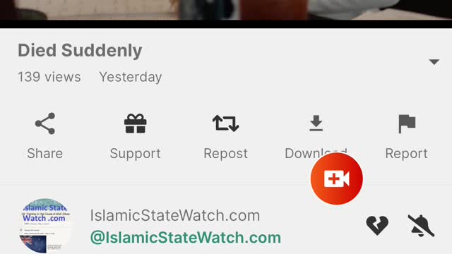 Pt.1/2 DOCUMENTARY SUDDEN DEATH COMMENTARY