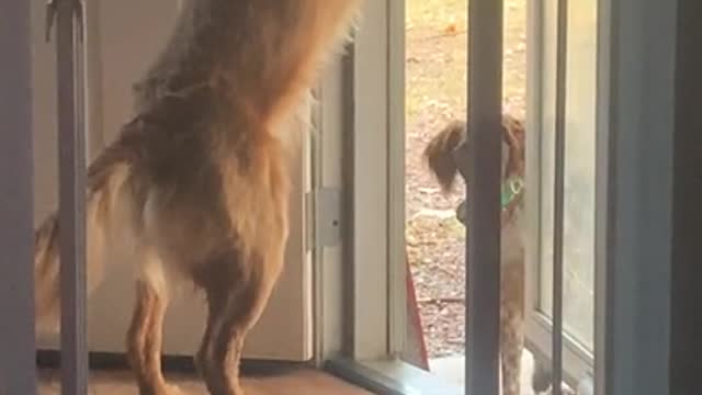 Seriously dude, I got you…just give me one more try
