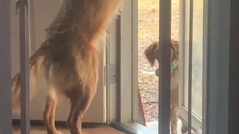 Seriously dude, I got you…just give me one more try