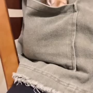 Funny animals 2023😆