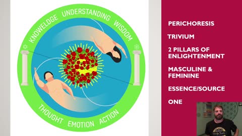 The Perichoresis Seal Breakdown