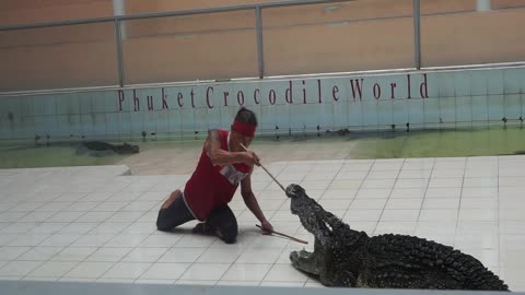 He stuck his head in the jaws of a crocodile! Wow!