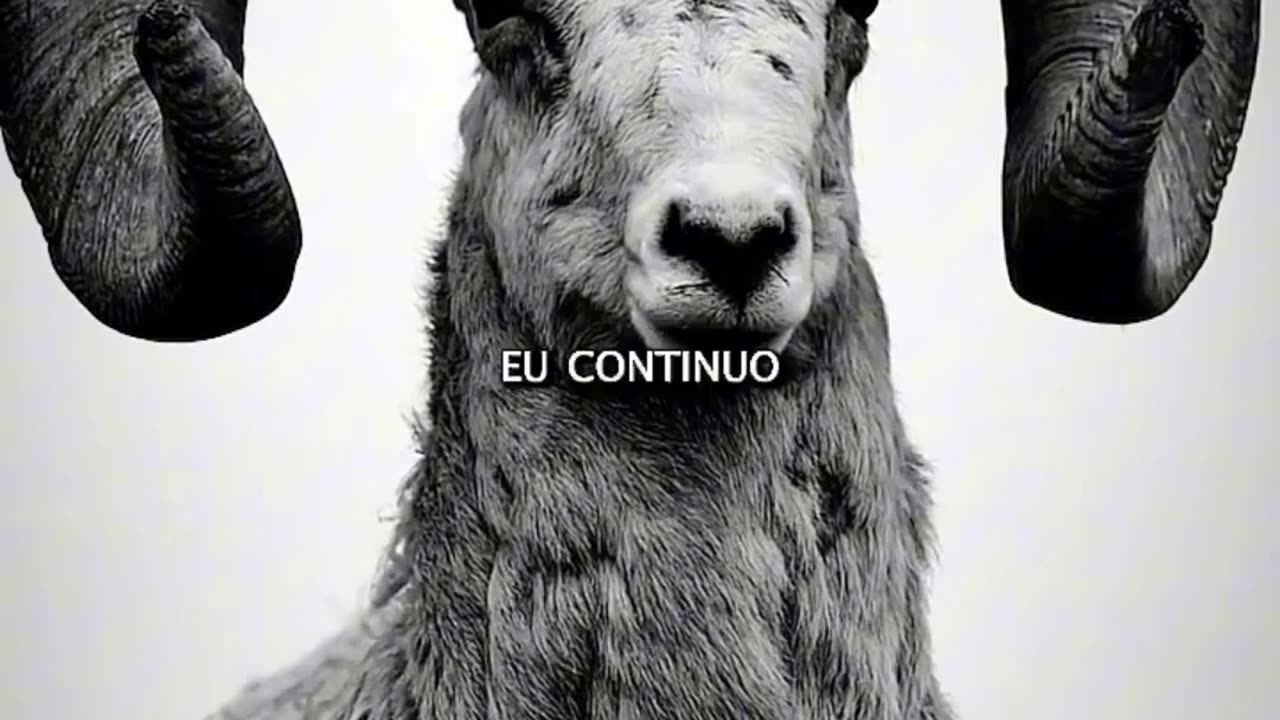 Voce tem uma missão