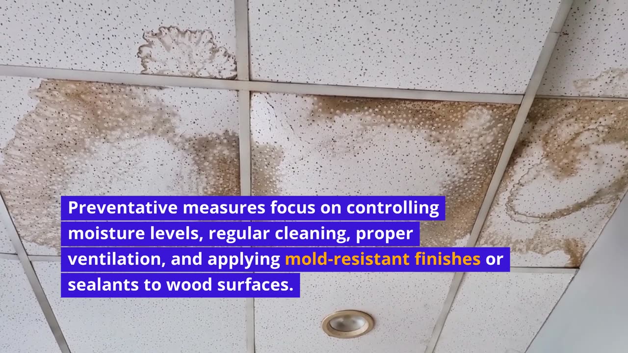 How to Get Rid of Mold on Wood