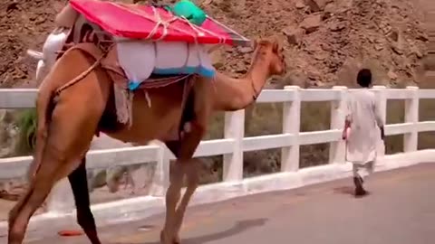 Hangol Balochistan (Pakistan)
