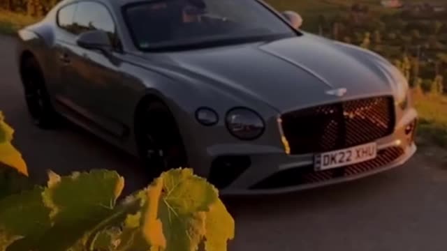 RICH LIFE