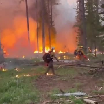 🔥🔥🔥 Fire season has begun in the state of Washington & Canada. They set the fires...