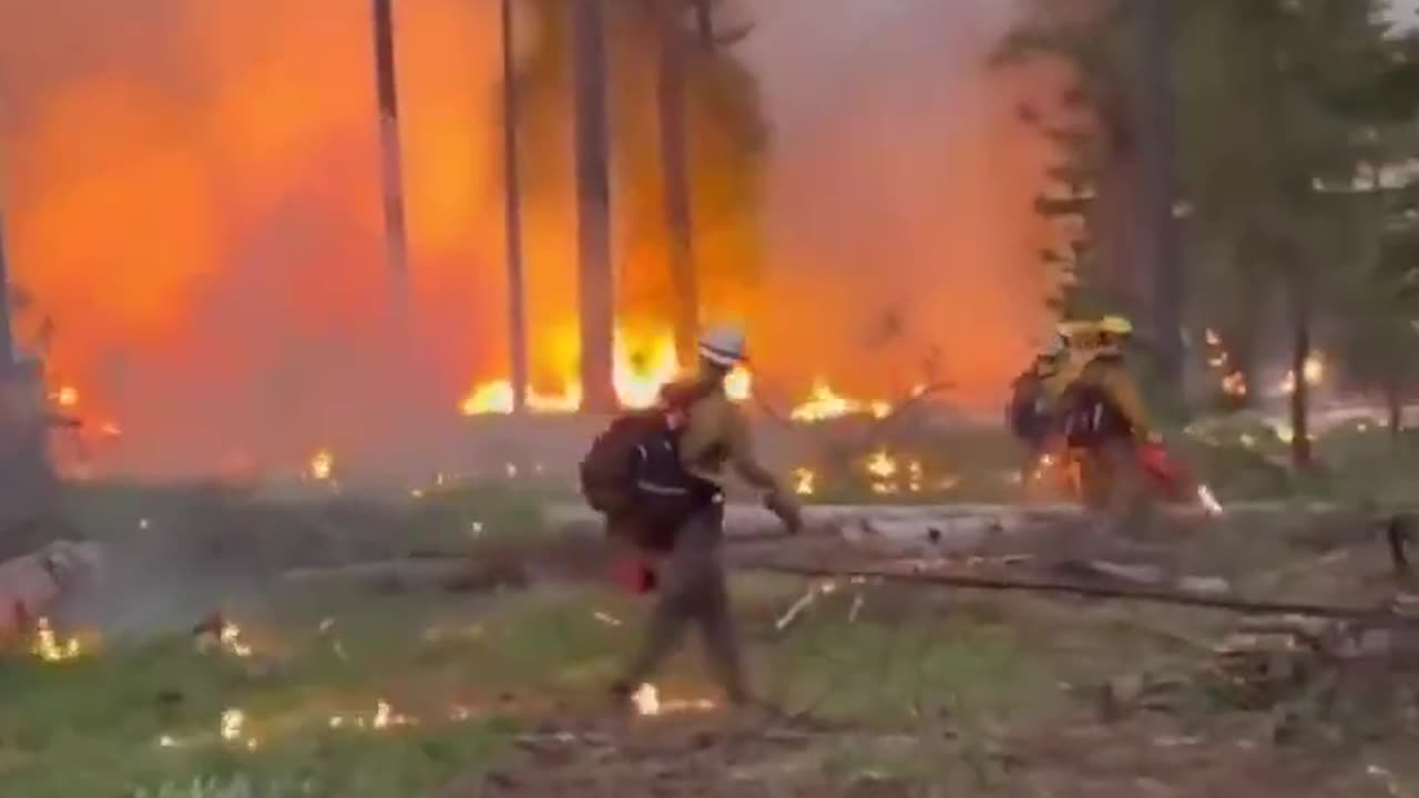 🔥🔥🔥 Fire season has begun in the state of Washington & Canada. They set the fires...